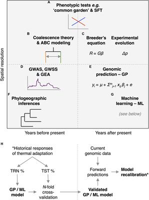 Predicting Thermal Adaptation by Looking Into Populations’ Genomic Past